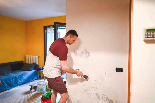 Best Health and Safety Mold Remediation in Bel Nor, MO